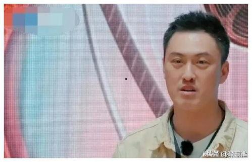 娱乐圈吃瓜爆料记者,揭秘明星幕后真相!