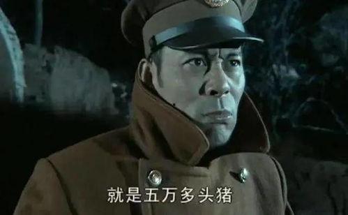 娱乐吃瓜军君,揭秘娱乐圈幕后故事